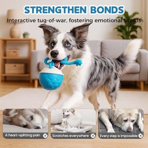 Interactive Dog Toys Motion Activated Automatic Rolling Ball Toys for Small/Medium/Large Dogs Balls for Boredom to Keep Them Busy with USB Rechargeable(Blue) - color: blue