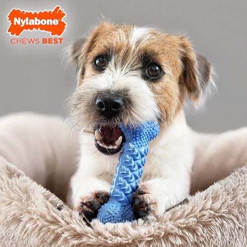 Nylabone Braid Bone Strong Chew Toy for Dogs, Natural Rubber Dog Toy for Moderate & Aggressive Chewers, Peanut Butter Flavor, Medium Dogs - Up to 35 lbs, 1 Count - size: Medium