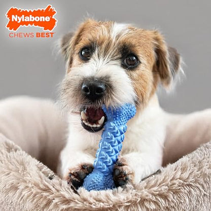 Nylabone Braid Bone Strong Chew Toy for Dogs, Natural Rubber Dog Toy for Moderate & Aggressive Chewers, Peanut Butter Flavor, Medium Dogs - Up to 35 lbs, 1 Count - size: Medium