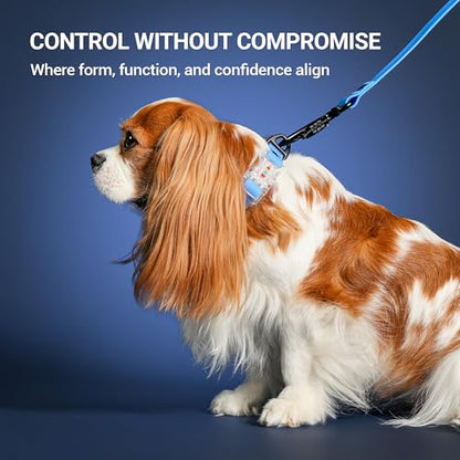 Waterproof Dog Collar, Stink Proof PVC Coated Collar with Lightweight Aluminum Hardware & Transparent Buckle, Heavy Duty for Small Medium Large Dogs, Blue, Large - color: Blue, size: L