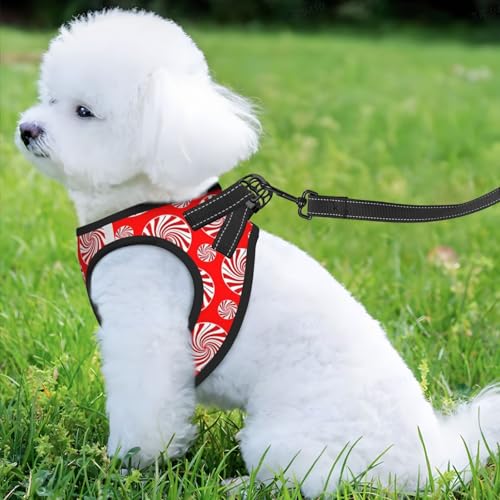 Christmas Candy Peppermints Red Pet Harness Escape Proof Dog Harness Adjustable Mesh Padded Reflective Dog Vest Harness and Leash Set Large - color: Style 3, size: Large