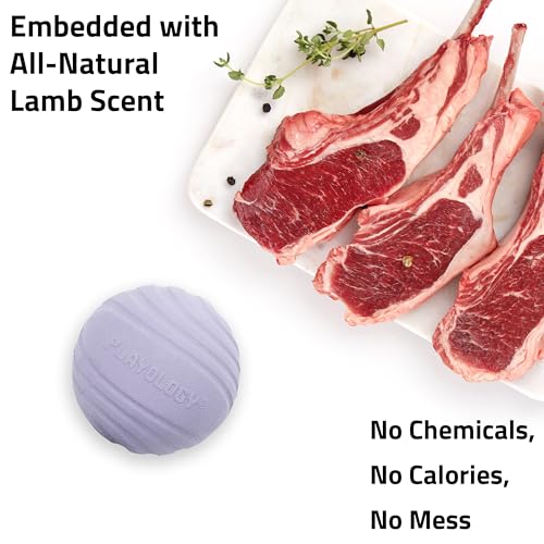 Playology Dog Toys | Dual Layer Ball Durable Chew Toy for Tough Chewers | Lamb Scented Jumbo Dog Toy | Chew Toys for Large Dogs - size: Jumbo, style: Lamb