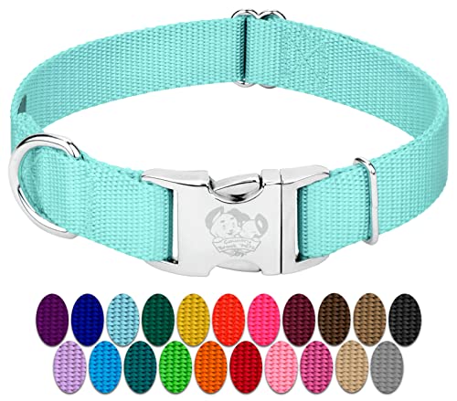 Country Brook Petz - Premium Nylon Dog Collar with Metal Buckle for Small Medium Large Breeds - 10+ Cool Colors (Small, 3/4 Inch, Light Cyan) - color: Light Cyan, size: Small (Pack of 1)
