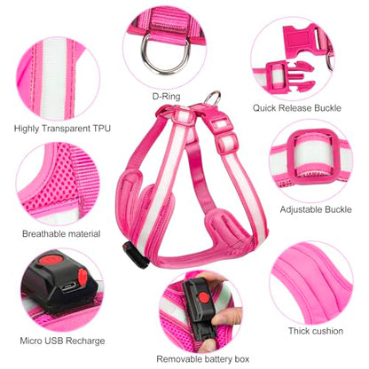 Light Up Dog Harness, LED Dog Harness Rechargeable, Glow in the Dark, LED Dog Vest Reflective, Light Up Harness for Dogs, Dog Lights for Night Walking, Pink, XL - color: Pink