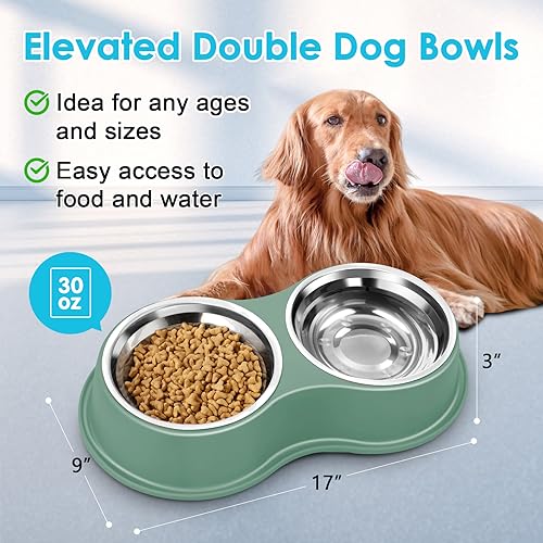 EpetsLove Large Double Dog Water and Food Bowls, Stainless Steel Bowls with Non-Slip Resin Station, Pet Feeder Bowls Food Dish for Small Medium Large Dogs Cats - color: 6.Green, size: Large-34oz