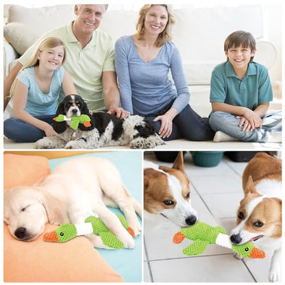 Pweituoet Squeaky Toys for Aggressive Chewers - Tough Dog Toys for Large & Medium Breed Puppies