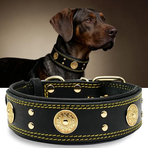 Leather Dog Collar, 2 inches Wide Heavy Duty Genuine Leather Collars, Handmade, Soft, and Luxury, Eye-catching Best Choice for Large and Medium Breed Dogs, Black-Gold 15-19 in - color: Black-Gold, size: 15-19 in