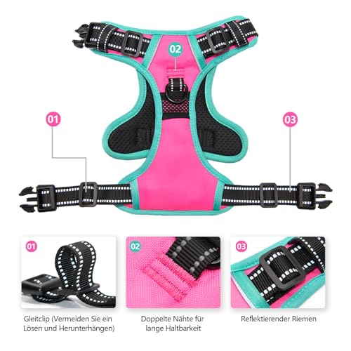 PHOEPET 2019 Upgraded No Pull Dog Harness, Reflective Adjustable Vest, with a Training Handle + 2 Metal Leash Hooks+ 3 Snap Buckles +4 Slide Buckles(XS, Pink) - color: Pink, size: Extra Small