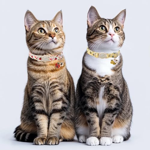 2 Pack Cute Cat Collars - Cartoon Bee Ladybug Breakaway Cat Collar with Bell & Matching Pendant, Adjustable Spring Summer Kitten Collars for Boy Girl Cats - color: Bee&Ladybug