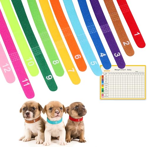 Newborn Puppy Collar Set of 12 with Numbered Tags & Weight Tracker Chart, Soft Adjustable Kitten Collar, Puppy Collars for Litter, Whelping Supplies for Kitten Small Dogs (S/M/L) (M) - size: M