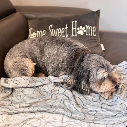 SPOT Snuggler Bones Blanket - Ultra Soft, Machine Washable Dog Blanket for Beds, Furniture Protection, Travel, and Crates - 40 x 60 inch, Grey Fleece Throw with Bone Print Design - size: 40 x 60", style: Bones Print