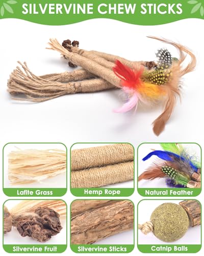 TINDTOP 12 Pack Chew Sticks for Cats, Natural Silvervine Catnip Toys for Kittens Teeth Cleaning, Matatabi Dental Care, Increase Appetite, Calm Cat Anxiety and Stress, Cat Dental Toy - color: 12 Pack