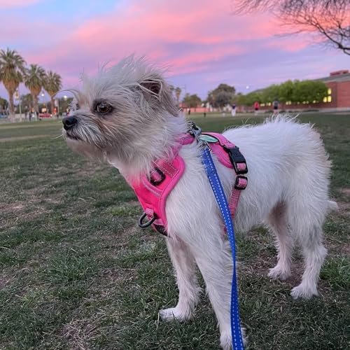 PoyPet No Pull Dog Harness, No Choke Reflective Dog Vest, Adjustable Pet Harnesses with Easy Control Padded Handle for Small Medium Large Dogs(Pink Matching Trim,XS) - color: Pink(Matching Trim), size: XS