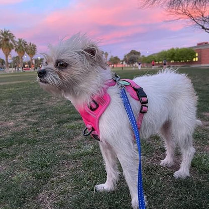 PoyPet No Pull Dog Harness, No Choke Reflective Dog Vest, Adjustable Pet Harnesses with Easy Control Padded Handle for Small Medium Large Dogs(Pink Matching Trim,XS) - color: Pink(Matching Trim), size: XS