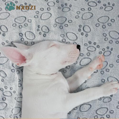 Dog Blankets for Large Dogs, 1 Pc Dog Blanket Washable, Soft Fluffy Flannel Pet Blanket Mat Cover for Bed Couch, Cute Print Puppy Blanket 60" x 50" - color: Grey-1 Pc