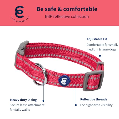 Blueberry Pet Essentials Matching Dog Collar & Leash Set | Pastel Reflective Adjustable Collar with 5 ft Lead for Medium Dogs, Very Berry - color: Very Berry, size: Medium