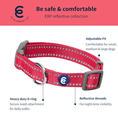 Blueberry Pet Essentials Matching Dog Collar & Leash Set | Pastel Reflective Adjustable Collar with 5 ft Lead for Medium Dogs, Very Berry - color: Very Berry, size: Medium