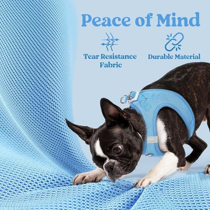 rabbitgoo Small Dog Harness, Step-in Soft Mesh Puppy Vest with Safety Buckle, Breathable Reflective Pet Harness for Extra Small Dogs, Blue XXXS - color: Blue, size: Xxxs(chest:10.8"-11.8")