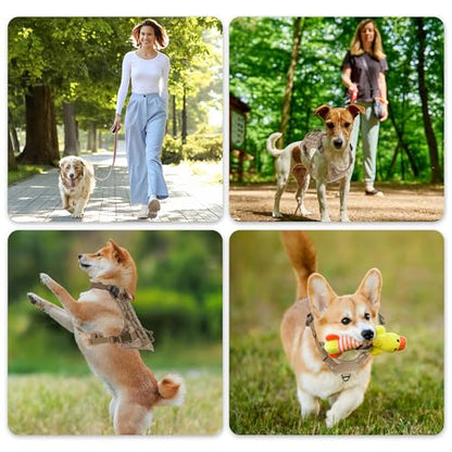 Dog Harness, Mesh Design Dog Harness, Breathable No Pull Dog Vest, for Hiking, for Small Medium Large Dogs, Camouflage, Medium