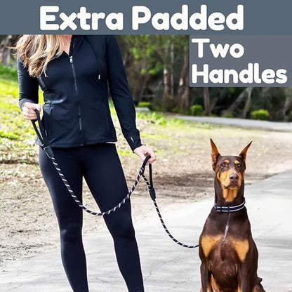 6 Foot Dog Leash, Two Extra Padded Handles, Locking Carabiner Clip, Reflective for Night Visibility, Weatherproof, Heavy Duty Rope Leash, Roam Gear (Black) - color: Black