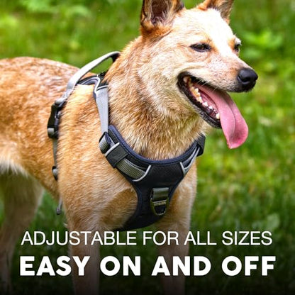 Embark Adventure Dog Harness for Small, Medium & Large Dogs – No Pull, Reflective Trim, Military Grade Nylon, 2 Leash Clips, Gel-Lined Handle, Soft Padded - color: Black, size: XS