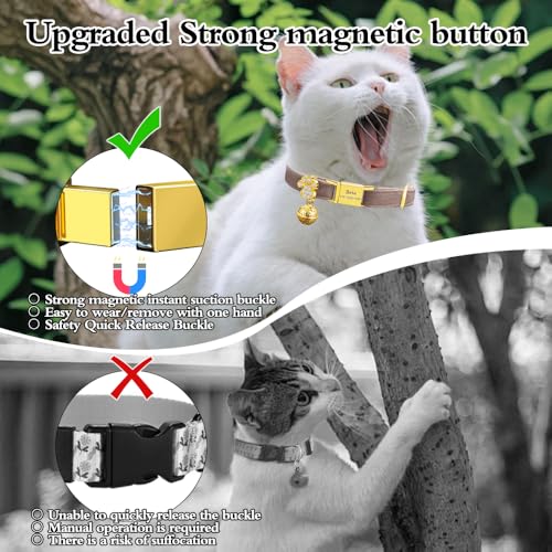 Personalized Breakaway Cat Collars - Magnetic Buckle, Bell - Safety Quick Release, Customized for Girls & Boys Cats- (Velvet-Chocolate) - color: Velvet-Chocolate