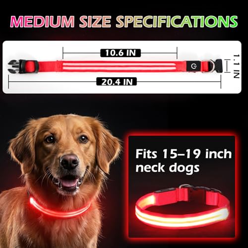 Neon LED Light Up Dog Collar for Night Walking, Rechargeable Safety Glow Illuminated Collar with 3 Modes Flashing, Reflective Adjustable Pet Light for Small/Medium Dogs Puppy 15-19" Neck (Red) - color: 1-Pack(Red)&Medium