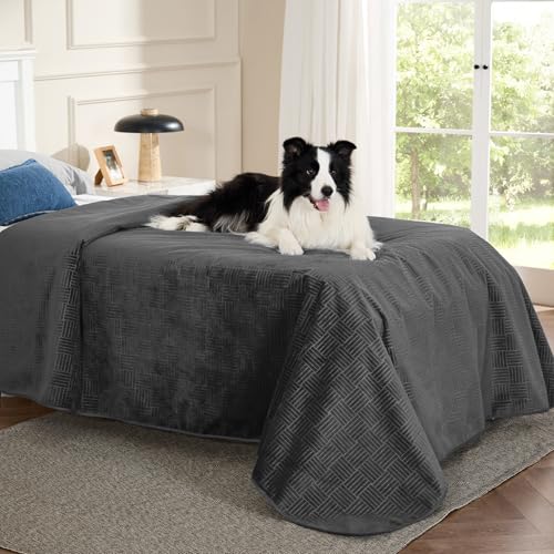 Bedsure Waterproof Bed Cover for Dogs Washable - Waterproof Blanket for Twin Bed Couch Sofa Cozy, Lightweight Furniture Protector for Pet Cat Quick Drying, Charcoal, 68x82IN - color: Charcoal, size: 68x82 inch