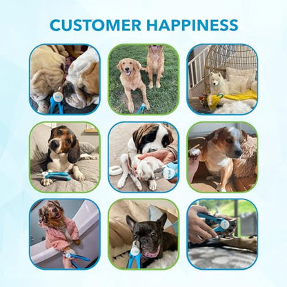 Boshel Dog and Cat Nail Clipper with Safety Guard, Razor-Sharp Toenail Cutter with Nail File, Ideal for Smaller Pets - size: Medium/Small