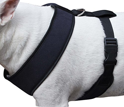 Dogs My Love Soft Vest Harness for Dogs and Puppies 6 Sizes Blue (L (Neck Max: 15"; Chest Girth: 18"-23")) - size: L (Neck Max: 15"; Chest Girth: 18"-23")