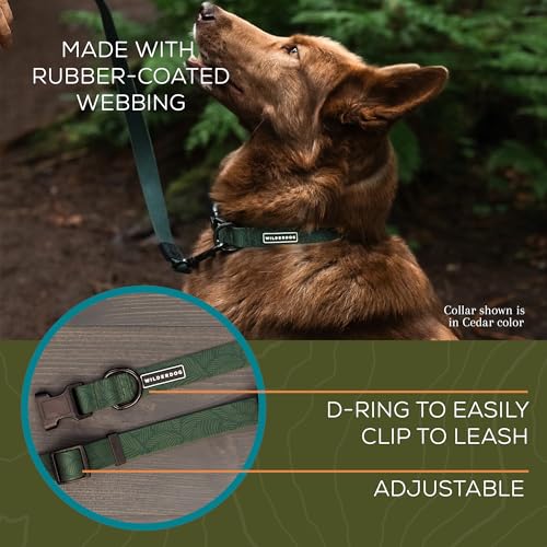 Wilderdog Waterproof Dog Collar - Repels Water & Dirt - Small 11"-15" - Cedar - color: Cedar, size: Small