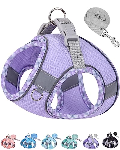 Petank Dog Harness for Small Medium Dogs No Pull, Puppy Harness and Leash Set, Step in Dog Harness for Walking, Running, Training, Small Dog Vest, Medium Dog Vest (Purple, XXS) - color: Purple, size: XXS