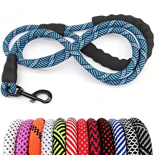 Heavy Duty Rope Dog Leash, 3/6/8/10/12/15/20/30 FT Nylon Pet Leash, Soft Padded Handle Thick Lead Leashes for Large Medium Dogs (Blue Black, 1/2" * 8') - color: blue black, size: 1/2" * 8'