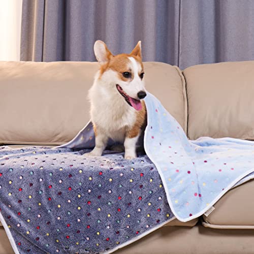 Luciphia 1 Pack 3 Blankets Super Soft Cute Dot Pattern Pet Blanket Flannel Throw for Dog Puppy Cat Large(41x31), Blue - color: Blue2, size: 41x31 inch (Pack of 3)