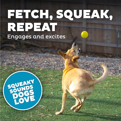 Outward Hound by Planet Dog Squeak Ball Bouncy Fetch Dog Toy, Yellow - color: Yellow Squeak Toy