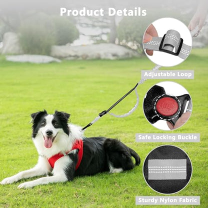 Hands Free Dog Leash with Zipper Pouch, Running Waist Leash for Dog Walking, Adjustable Waist Belt for Large Dogs, Reflective Bungee Design with Two Handle for Hiking, Training, Grey - color: Grey