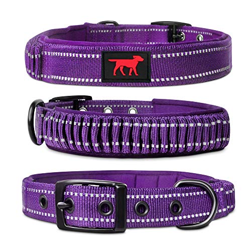 Heavy Duty Dog Collar with Handle | Ballistic Nylon Heavy Duty Collar | Padded Reflective Dog Collar with Adjustable Stainless Steel Hardware | Convenient Sizing for All Breeds - color: Purple, size: Medium/Large (14 - 18" Neck)