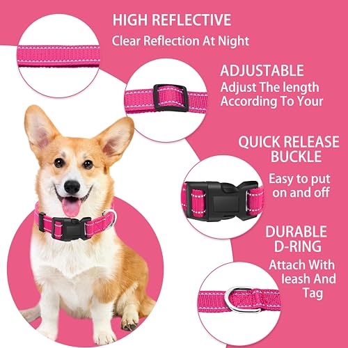 Reflective Dog Collar with Safety Locking Buckle, Adjustable Soft Breathable Nylon Collars for Small, Medium and Large Dogs(Collar+Leash XS Width 3/8" Hotpink) - color: Hotpink, size: XX-Small (Width 3/8")