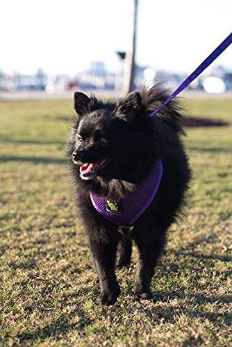 EcoBark Dog Harness - Eco-Friendly Max Comfort Harnesses - Luxurious Soft Mesh Halter - Over the Head Harness Vest- No Pull and No Choke for Puppy, Toy Breeds & Small Dogs (Medium, Purple) - color: Purple