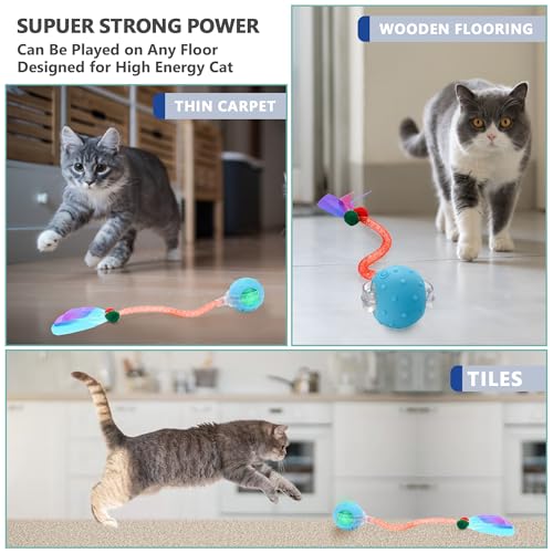 Interactive Cat Toys for Bored Indoor Cats, Chirping & Motion-Activated Cat Toys, Fun Gift for Cats with 2 Speed Settings & 3 Modes, USB Rechargeable,Blue