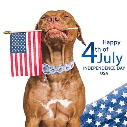 Faygarsle Patriotic Dog Collar, 4th of July Design, American Flag Pattern, Light Blue Summer Design for Small Medium Large Dogs XS - color: Blue Flag, size: Extra Small