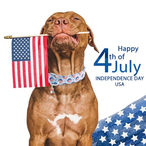 Faygarsle Patriotic Dog Collar, 4th of July Design, American Flag Pattern, Light Blue Summer Design for Small Medium Large Dogs M - color: Blue Flag, size: Medium
