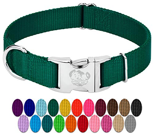 Country Brook Petz - Premium Nylon Dog Collar with Metal Buckle for Small Medium Large Breeds - 10+ Cool Colors (Small, 3/4 Inch, Green) - color: Green, size: Small (Pack of 1)