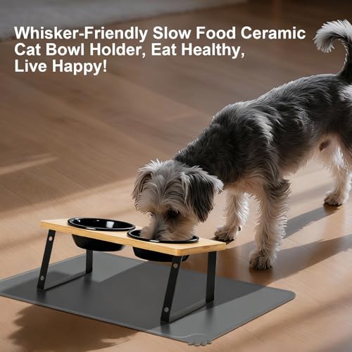 LEAWALK Upgraded Adjustable Height Cat Food Bowls Stand Ceramic Dog Bowls and Slow Feeder Cat Bowl, 15°Tilted Stand Anti Vomiting Raised for Small and Medium Sized Cats Dogs (Black (2 Bowl+Pet mat)) - color: Black ( 2 Bowl+Pet mat)