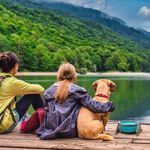 Loving Pets - Bella Roma Portable Travel Dog Bowl Collapsible Dog Food & Water Bowl (Blue, Large) - color: Blue, size: Large Travel Bowl