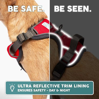 Embark Adventure Small Dog Harness – No-Pull, Reflective Trim, Military-Grade Nylon, Front Clip with Gel-Lined Handle - color: Red, size: S