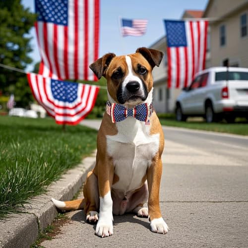 DOGWONG Ameirican Flag Dog Collar with Bow - Independence Bowtie Dog Collars, Adjustable Patriotic Pet Collars 4th of July Dog Collar for Small Medium Large Dogs - color: American Flag, size: S