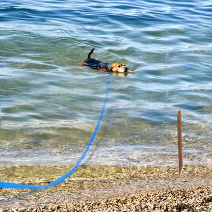 Waterproof Dog Training Leash,Long Line Heavy Duty Outdoor Recall Lead 10ft 16ft 20ft 30ft 50ft for Small Medium Large Dog (Blue, 32FT)