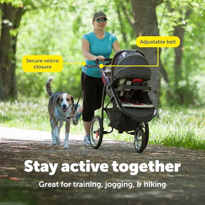 PetSafe Hands Free Adjustable Dog Leash - Great for Running, Jogging, Walking and Hiking - Wear Around the Waist - Black