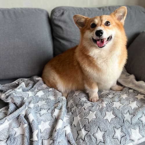1 Pack 3 Puppy Blankets Cat Dog Blankets Super Soft Warm Sleep Mat Grey Star Cute Print Blanket Fluffy Fleece Pet Blanket Flannel Throw for Small Dogs Puppy Dogs Cats Medium(29"x20") - color: Star/Series, size: Medium(29"x20")